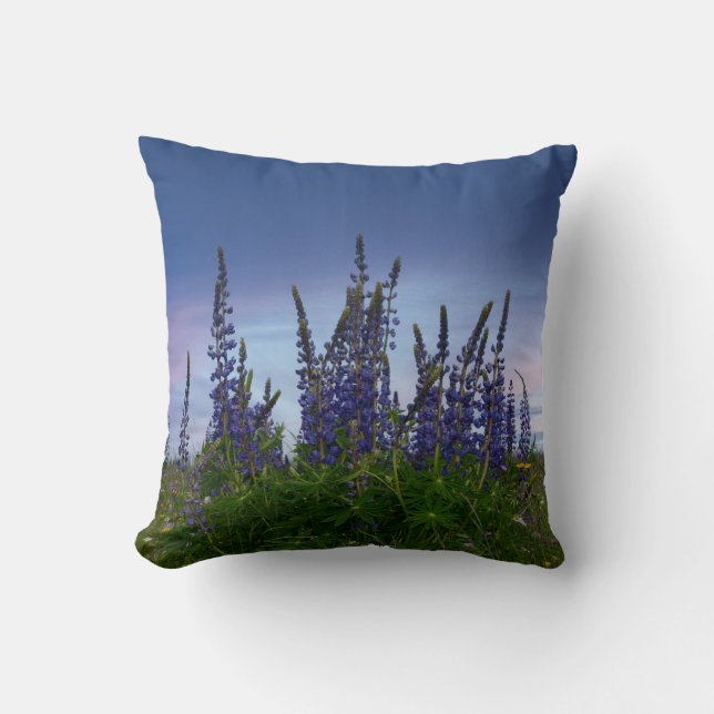 Coussin Lupins (Recto)