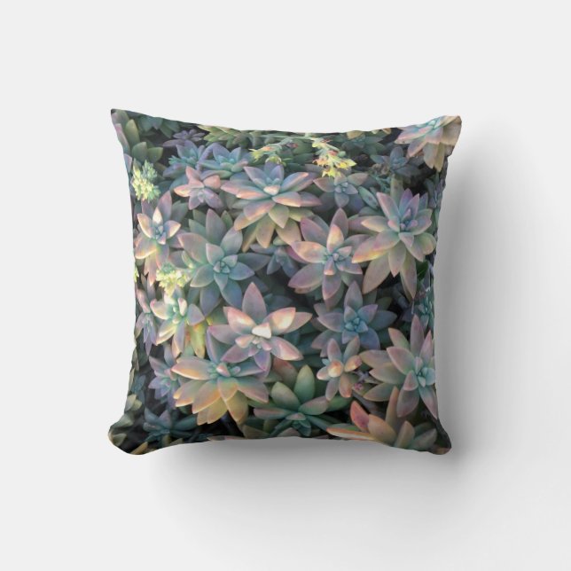 Coussin L'usine étoilée de cactus avec le rose, et le vert (Recto)