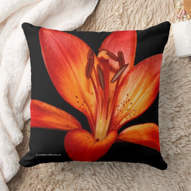 Coussin Lys Asiatiques Orange Rouge Gran Paradiso (Couverture)