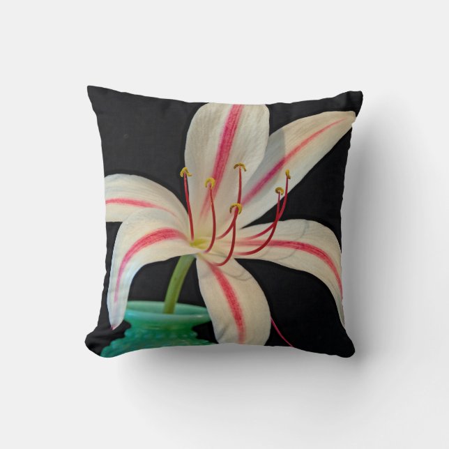 Coussin Lys de marais de vin de lait (Recto)