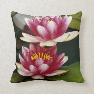 Coussin Lys d'eau hybrides