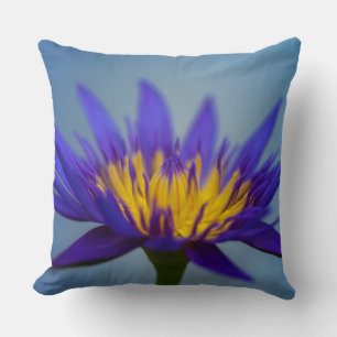 Coussin Lys d'eau violet