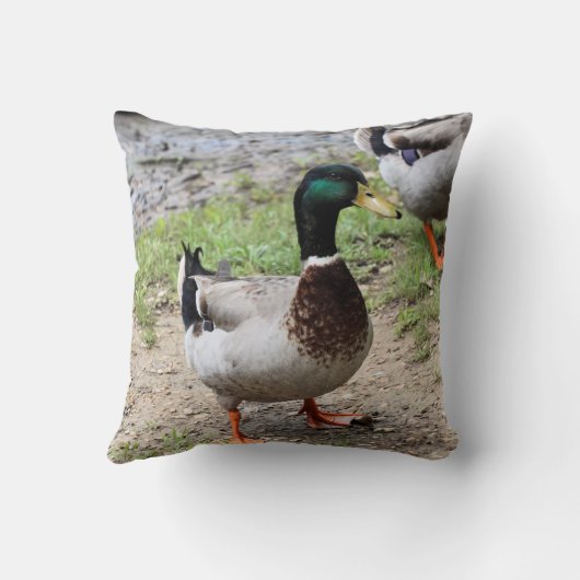 Coussin M. Duck (Verso)