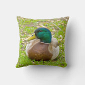 Coussin M. Mallard le Canard (Verso)