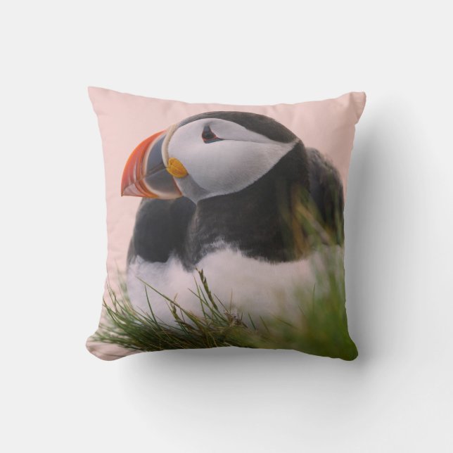 Coussin Macareux atlantique (Fratercula arctica) (Recto)