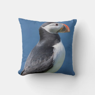 Coussin Macareux Atlantique (Fratercula Arctica) Sur Une F