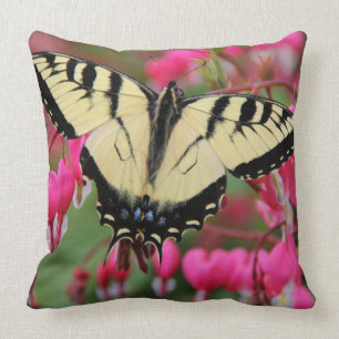 Coussin Machaon oriental 2