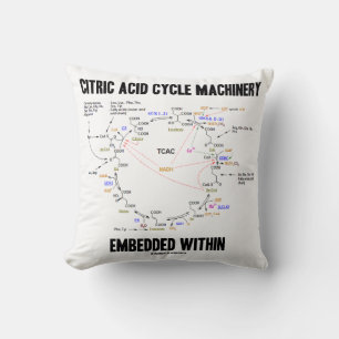 Coussin Machines À Cycle D'Acide Citrique Intégrées Dans D