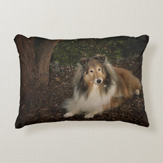 Coussin magique de Sheltie (Devant)
