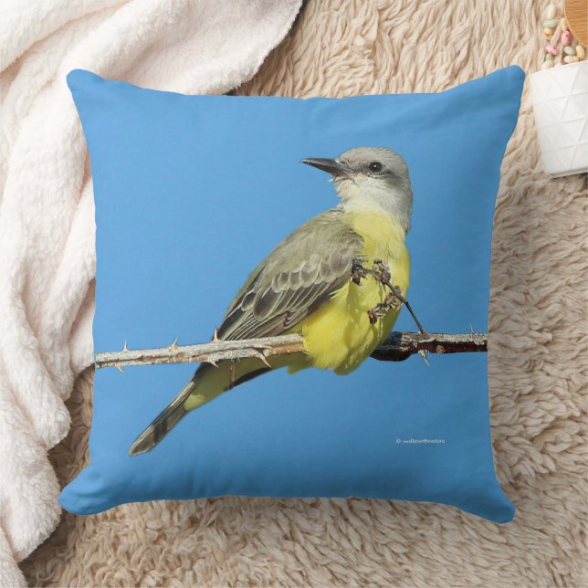 Coussin Magnifique Tropical Kingbird sur Blackberry Branch (Couverture)