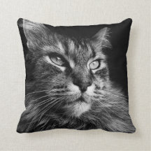 Maine Coon Cat 16 x 16