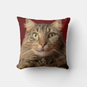 Coussin Maine Coon pour Noël avec collectionneur