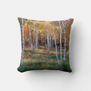 Coussin Maine, Parc national d'Acadia, Automne