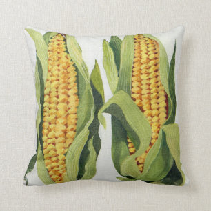 Coussin Maïs doux 2013