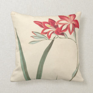 Coussin Maïs-Drapeau superbe