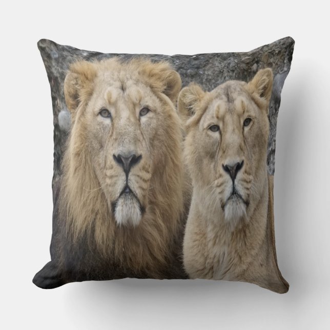 Coussin Majestic (Recto)