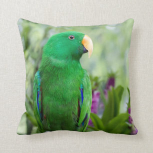 Coussin Mâle de perroquet d'Eclectus