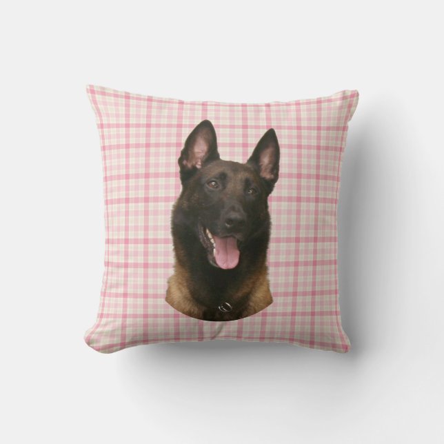 Coussin malinois belge (Recto)