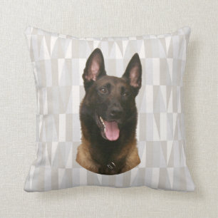 Coussin malinois belge