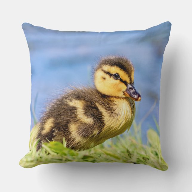Coussin Mallard Duckling (Recto)