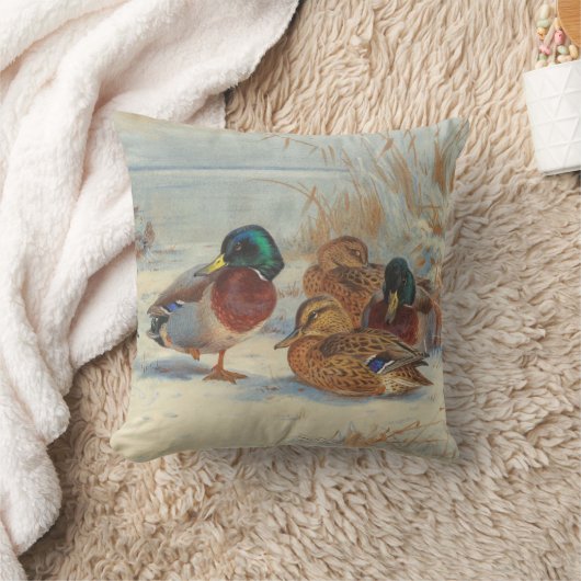 Coussin Mallard et turquoise dans la neige, Oiseaux (Couverture)