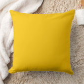 Coussin mangue couleur (Couverture)