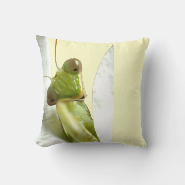 Coussin Mantid (Recto)