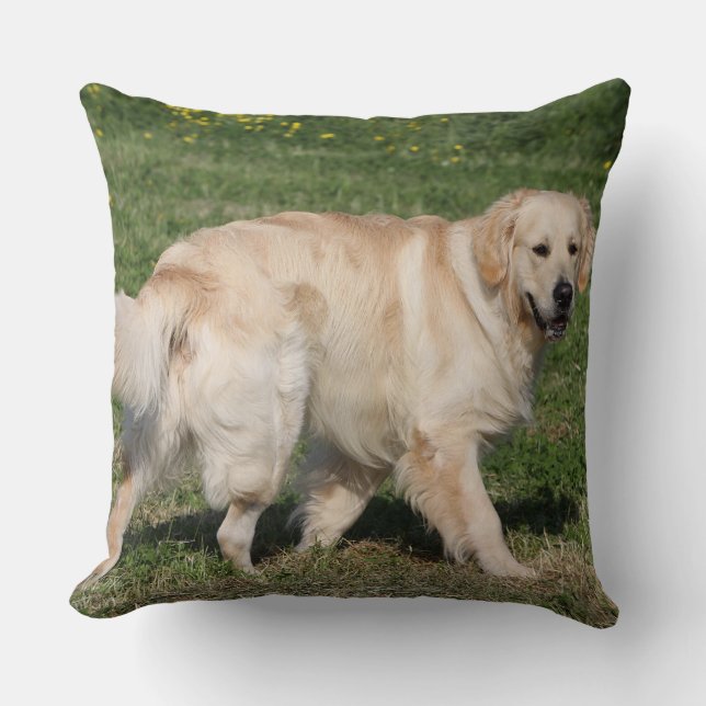 Coussin Marche de golden retriever (Recto)