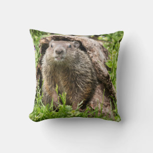 Coussin Marmotte dans un tronc creux