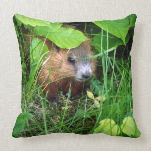 Coussin Marmotte Murmeltier de marmotte marmite