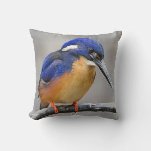 Coussin Martin-pêcheur mignon et coloré ou oiseau d'Alcedi