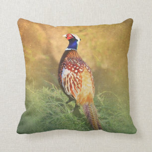 Coussin masculin de faisan