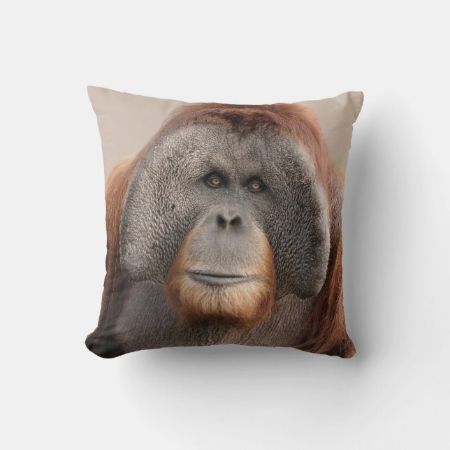 Coussin masculin de faune d'orang-outan de (Recto)