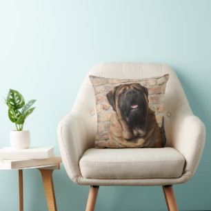 Coussin Mastiff anglais