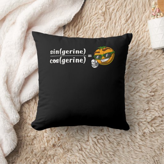 Coussin Math Algebra Tangerine Funny Science Plaisanterie (Couverture)