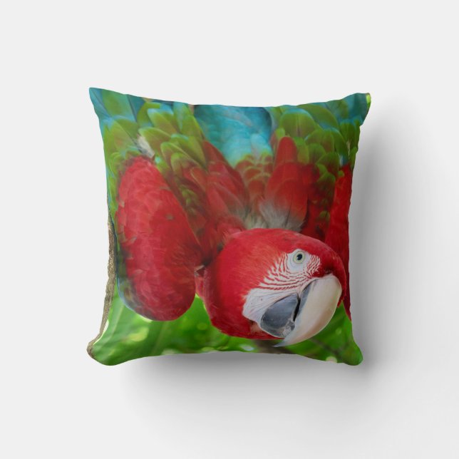 Coussin Me regardez-vous ?  (Recto)