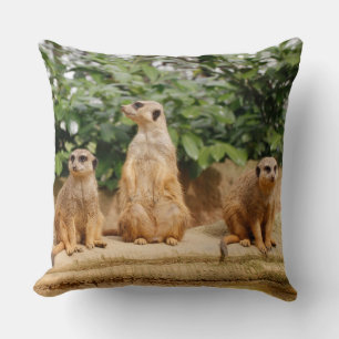 Coussin Meerkat 008