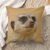 Coussin Meerkat 020 (Couverture)