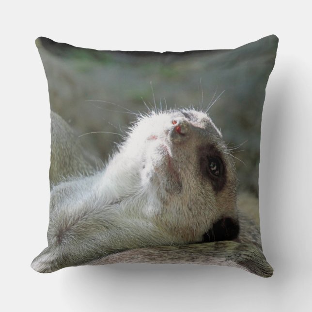 Coussin Meerkat 024 (Recto)