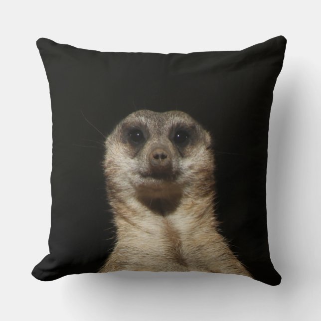 Coussin Meerkat 040 (Recto)
