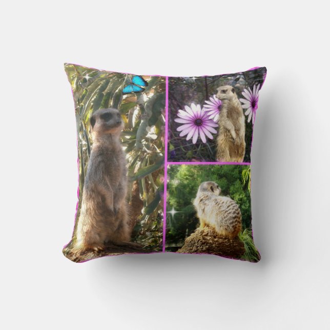 Coussin Meerkat,_Collage_Lounge_Cushion, (Recto)