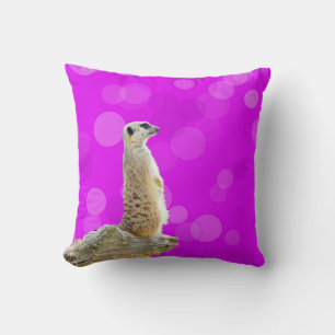 Coussin Meerkat Posé Sur Rose Et Violet,
