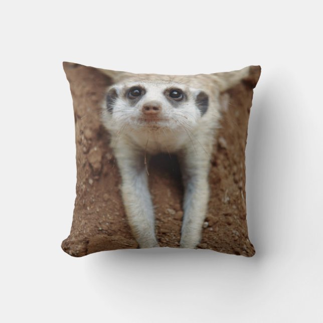 Coussin Meerkat (Suricata Suricatta) Refroidissement (Recto)