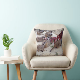 Coussin Meerkats Carnivores Avec Des Crevettes Pour Thé,