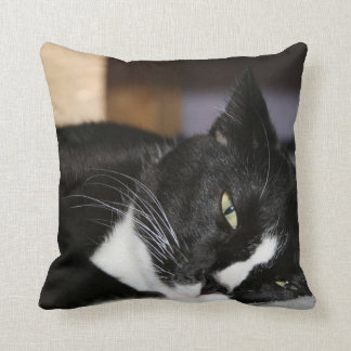 Coussin mensonge noir et blanc de chat de smoking vers le