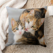 Coussin Mère chat adore chaton mignon (Couverture)