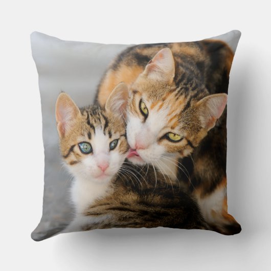 Coussin Mère chat adore chaton mignon (Verso)
