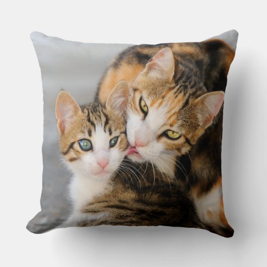 Coussin Mère chat adore chaton mignon (Recto)