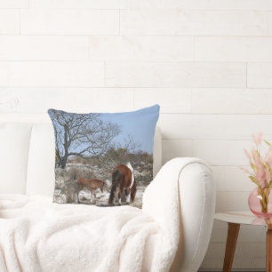 Coussin Mère et poulain au parc national d'Assateague