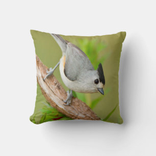 Coussin Mésange à crête noire